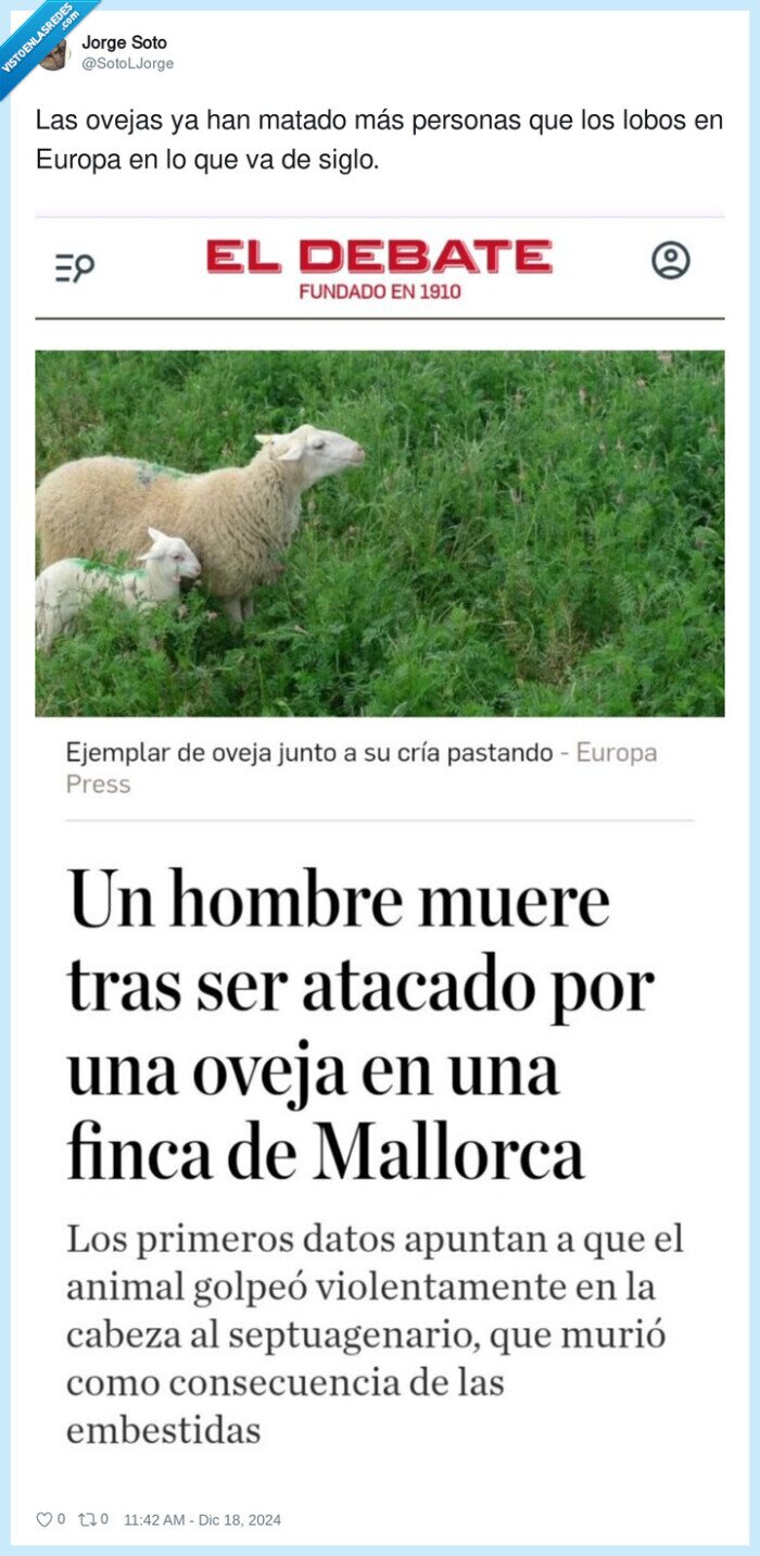 personas,ovejas,matar,lobos