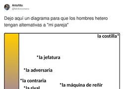 Enlace a Diagrama para que los hombres hetero tengan alternativas a 
