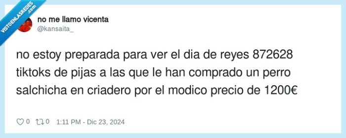 perro,regalo,reyes magos,salchicha,criadero,comprado,tiktoks