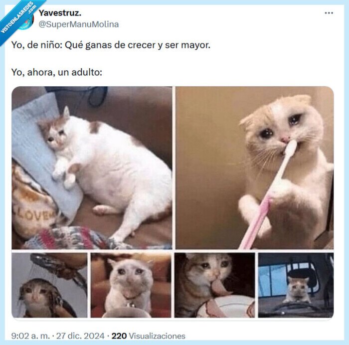 mayor,adulto,niño