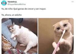 Enlace a Si se pudiera elegir... por @supermanumolina