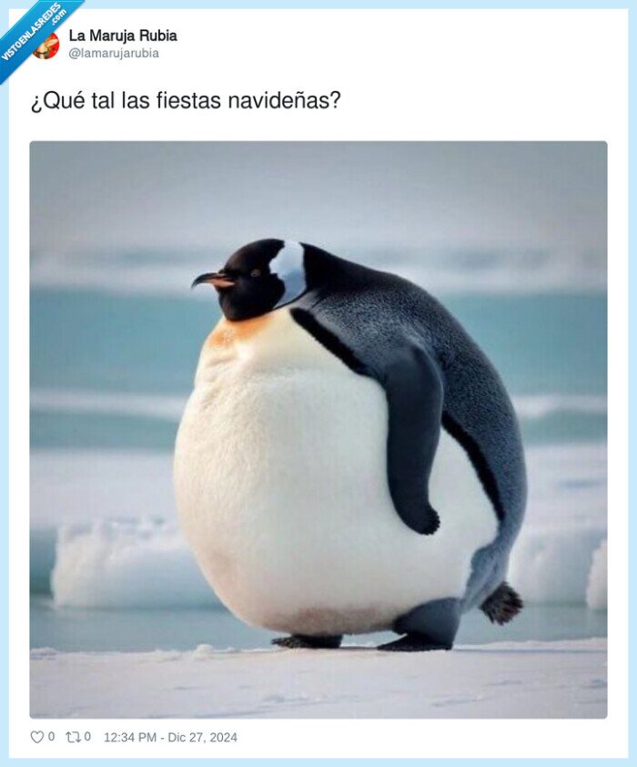 navideñas,fiestas,gordo,pingüino