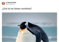 Enlace a ¿Pero no me ves?, por @lamarujarubia