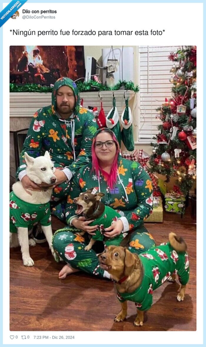 perrito,forzado,navidad,foto