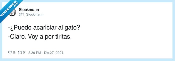 acariciar,tiritas,gato