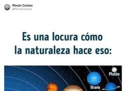 Enlace a Y seguirán diciendo que es plana, por @RincnCuriosoo