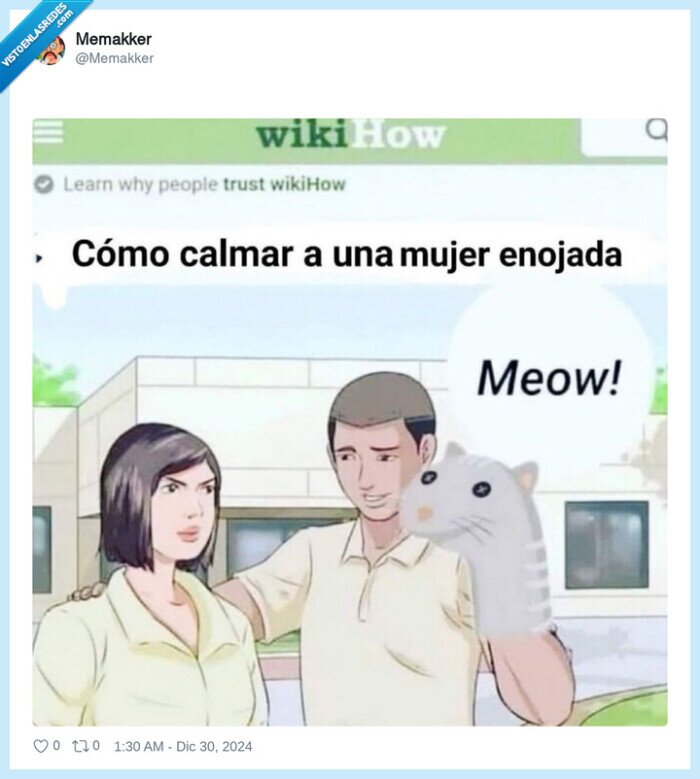mujer,enfadada,calcetión,gato,meow