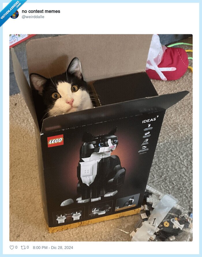 gato,lego,caja