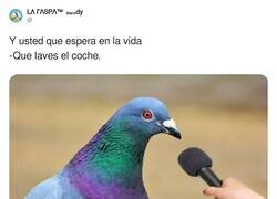 Enlace a Para joderte después, por @Raspatuit