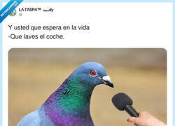 Enlace a Para joderte después, por @Raspatuit