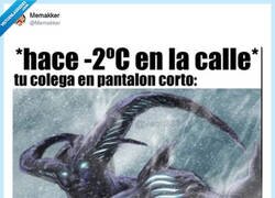 Enlace a Y la próxima semana encamado, por @Memakker