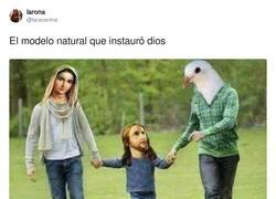 Enlace a El modelo natural, por @laraverina