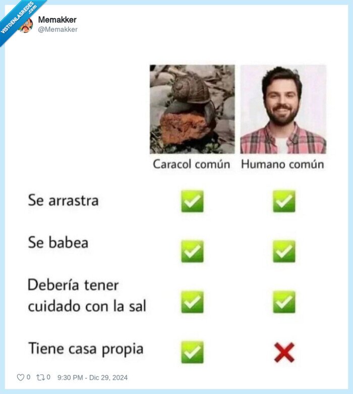 humano común,vivienda,caracol,casa propia