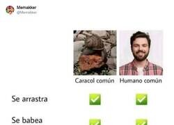 Enlace a Menudo partidazo el caracol, por @Memakker