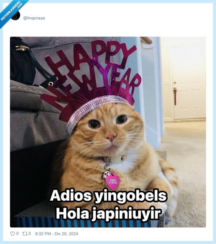 japiniuyir,gato,feliz año nuevo