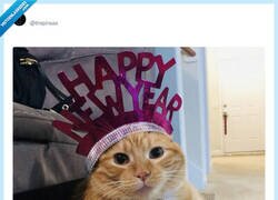 Enlace a ¡Feliz año! por @Inspiraas