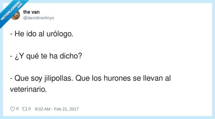 veterinario,urólogo,hurones