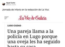 Enlace a Igual era un lobo con piel de cordero, por @Aquel_Coche