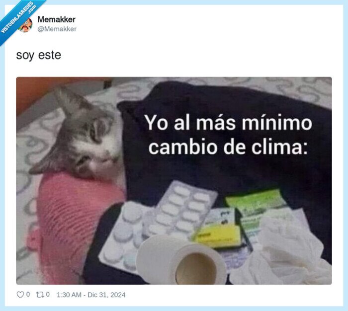 enfermo,gato,cama,medicación