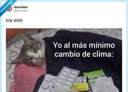 Enlace a Caigo a la mínima, por @Memakker