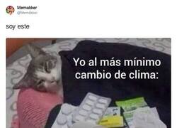 Enlace a Caigo a la mínima, por @Memakker