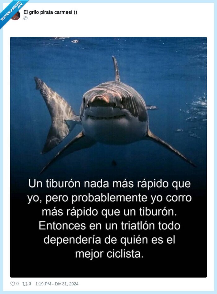tiburon,nadar,correr,ciclista