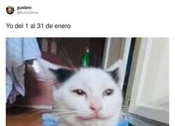 Enlace a Me gusta el truco para la cuesta de enero, por @biciclotimia