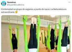 Enlace a Ya salen creciditos por @supermanumolina