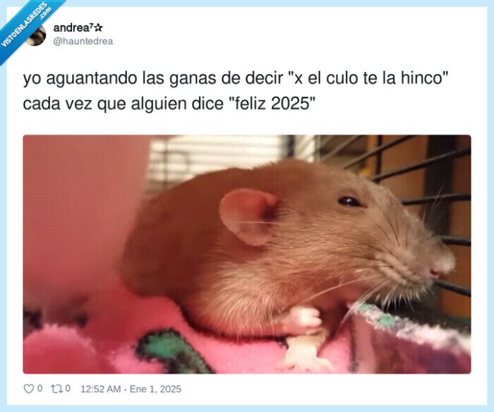 2025,rata,por el culo