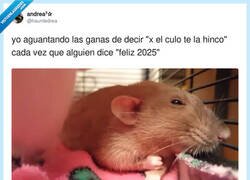 Enlace a 5 días y seguiré haciéndolo, por @hauntedrea