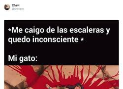 Enlace a Cualquier sitio les va bien, aunque estés muerto, por @chavook