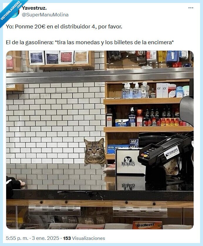 gasolinera,gato,encimera,tirar