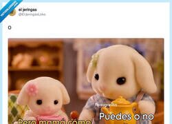Enlace a Se creen que lo sabemos todo, por @ElJeringasLoko