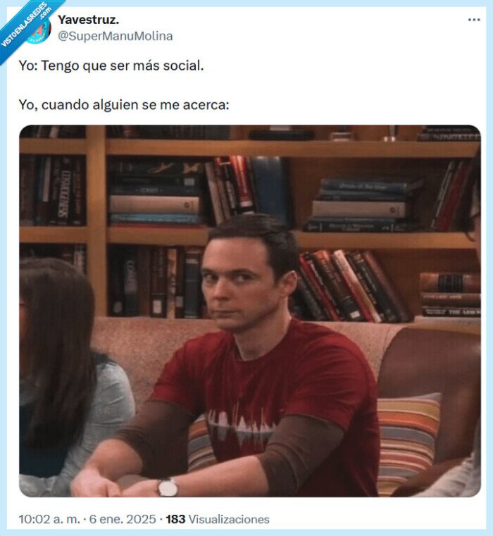 social,the big bang theory