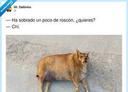 Enlace a Está ya un poco duro pero nunca diré que no, por @Mr_daltonico