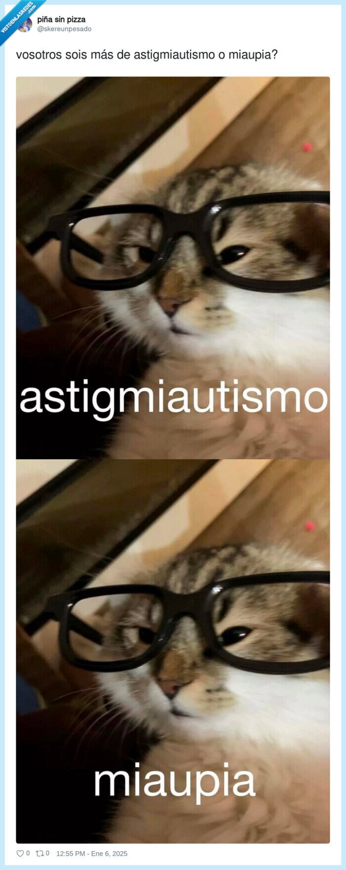 astigmiautismo,gato,miaupia,vista
