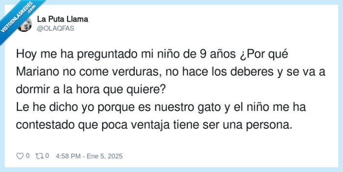 gato,niño,comparativa