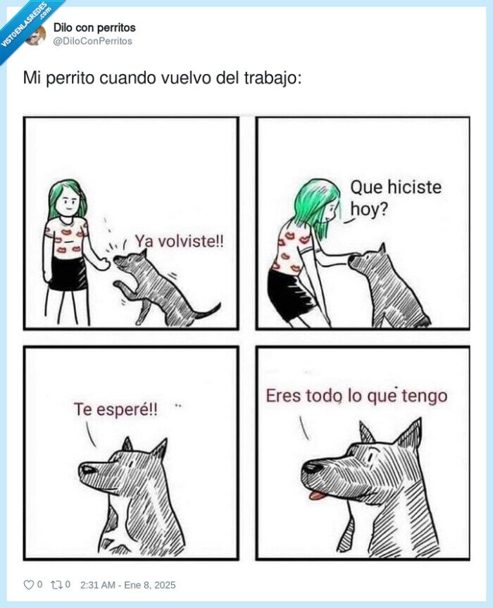 perrito,trabajo,volver,triste