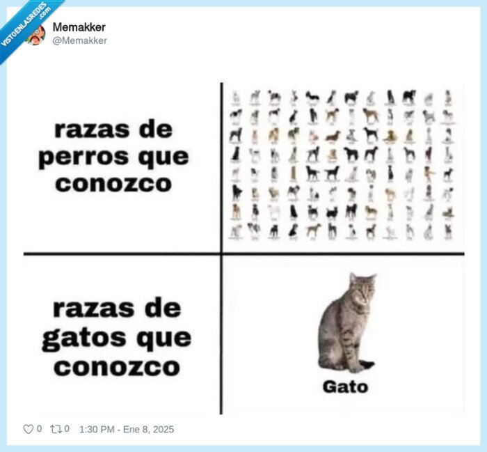 perro,gato,razas