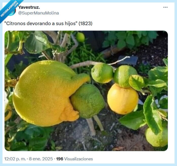 cítrico,limón,cronos