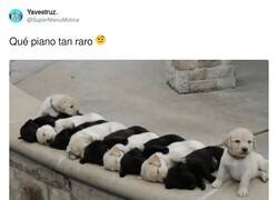Enlace a El piano más adorable, por @SuperManuMolina