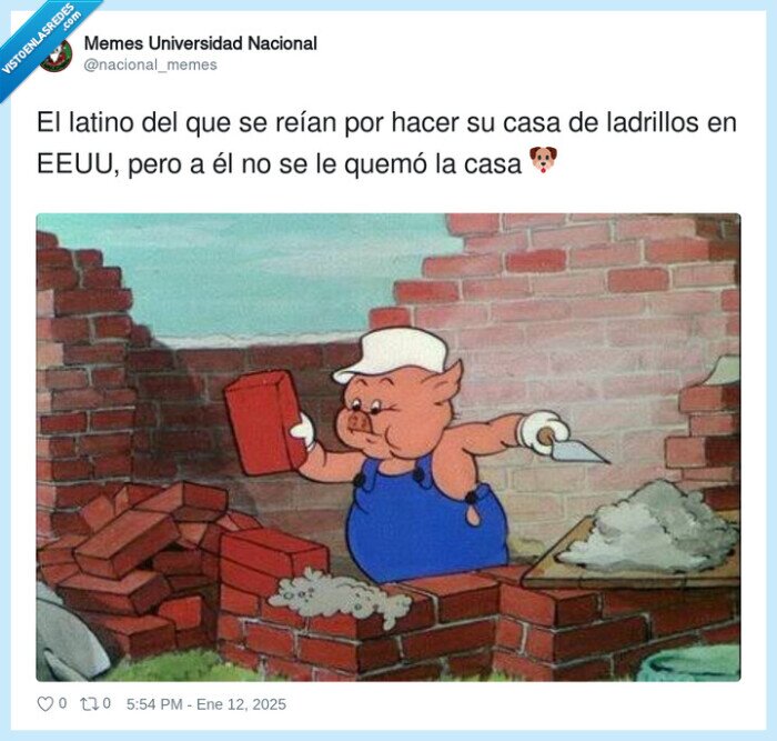 ladrillos,latino,reirse,cerditos,usa,eeuu,incendio,fuego