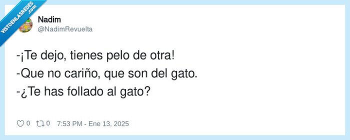 cariño,gato,pelo,otra