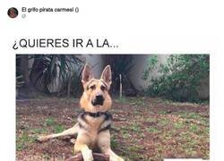 Enlace a No te da tiempo ni a terminar la frase, por @ErigolDelViento