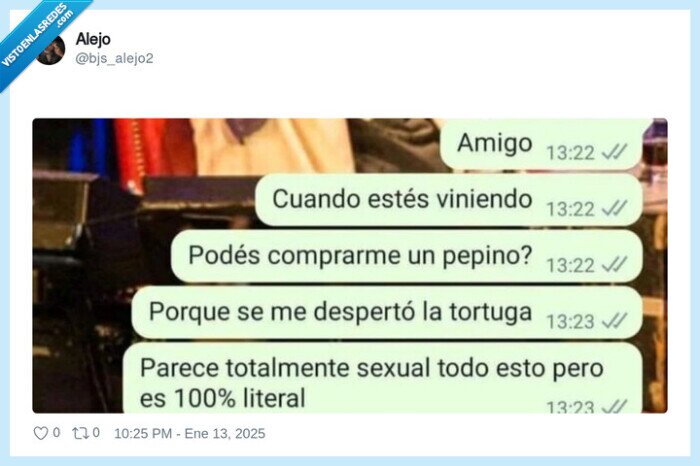 pepino,tortuga,despertar