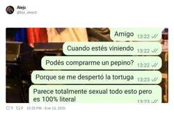 Enlace a El pepino, por @bjs_alejo2