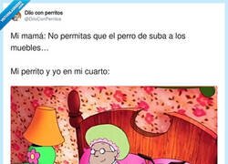 Enlace a Es una batalla perdida, por @DiloConPerritos