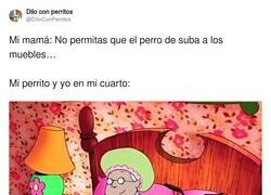 Enlace a Es una batalla perdida, por @DiloConPerritos