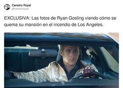 Enlace a Le da todo igual, por @cansinoroyal