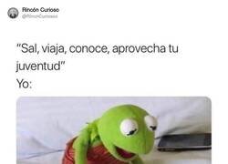 Enlace a ¿Con qué dinero? por @RincnCuriosoo